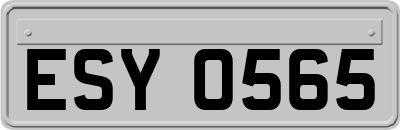 ESY0565