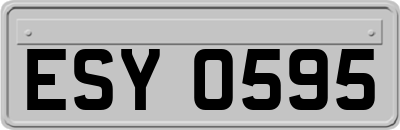 ESY0595