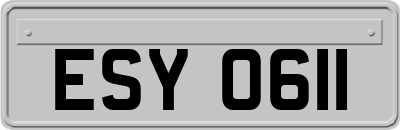 ESY0611
