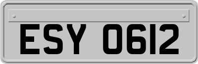 ESY0612