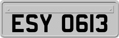 ESY0613