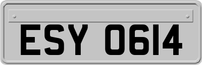 ESY0614