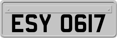 ESY0617