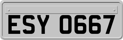 ESY0667