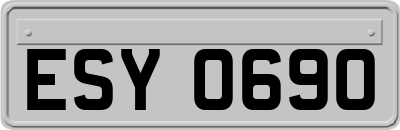 ESY0690