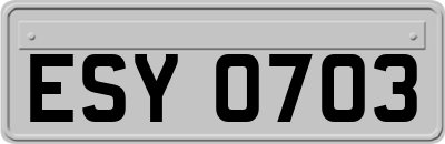 ESY0703