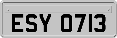 ESY0713