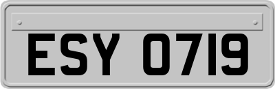 ESY0719