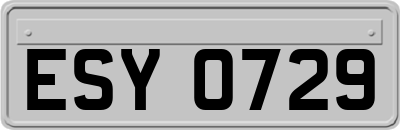 ESY0729
