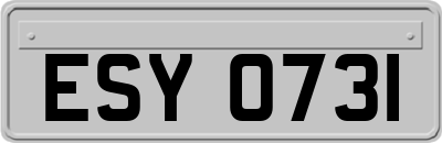 ESY0731
