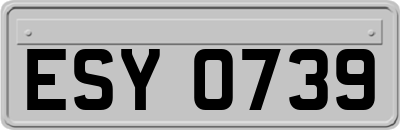 ESY0739