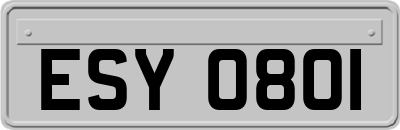 ESY0801