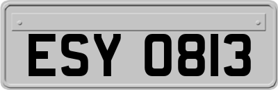 ESY0813