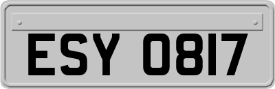 ESY0817