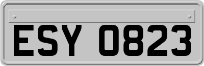 ESY0823