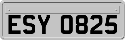 ESY0825