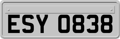 ESY0838