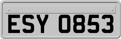 ESY0853