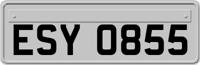 ESY0855