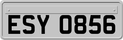 ESY0856