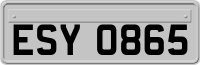 ESY0865