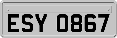 ESY0867