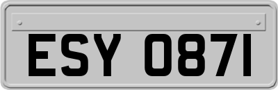 ESY0871