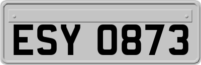 ESY0873