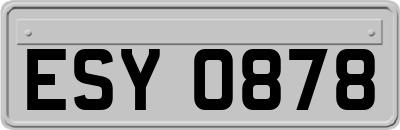 ESY0878