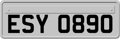 ESY0890