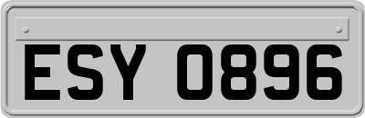 ESY0896