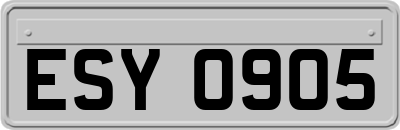 ESY0905