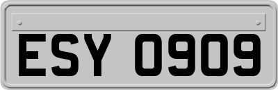 ESY0909