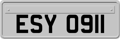 ESY0911