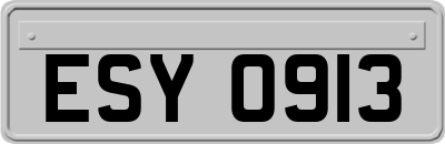 ESY0913