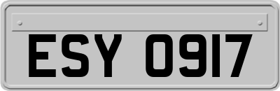 ESY0917