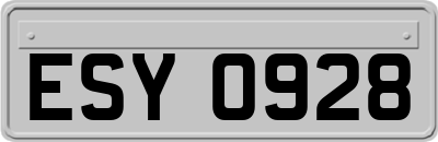 ESY0928