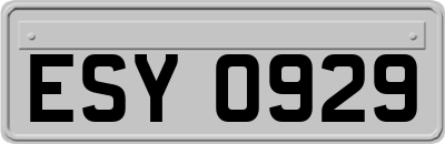 ESY0929