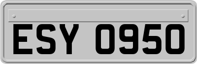 ESY0950
