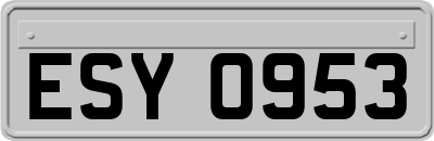 ESY0953