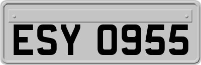 ESY0955