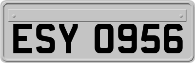 ESY0956