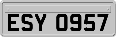 ESY0957