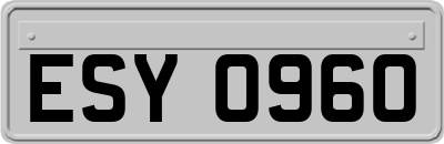 ESY0960