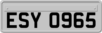 ESY0965