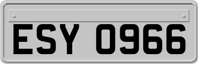 ESY0966