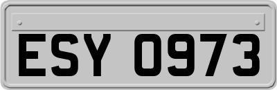 ESY0973