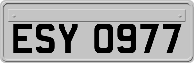 ESY0977