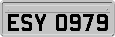 ESY0979
