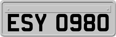 ESY0980